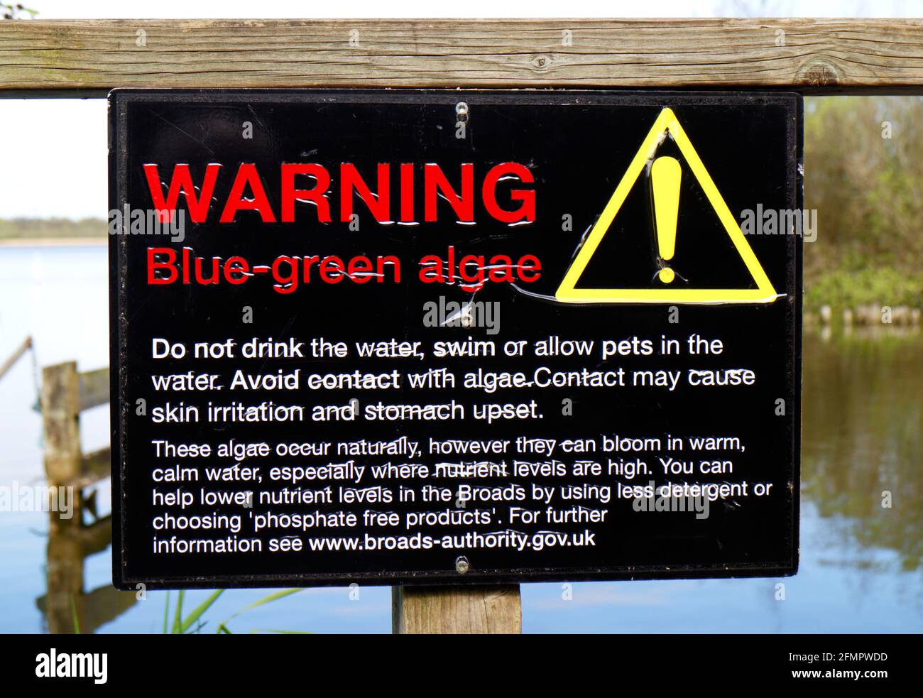 Un panneau d'avertissement concernant les algues bleu-vert au Broads Wildlife Centre, dans les Norfolk Broads, par Ranworth Broad, Norfolk, Angleterre, Royaume-Uni. Banque D'Images