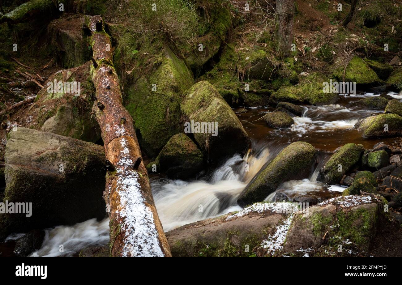 Réserve naturelle de Wyming brook, parc national de Peak District, Sheffield, Yorkshire du Sud, Angleterre, Royaume-Uni Banque D'Images