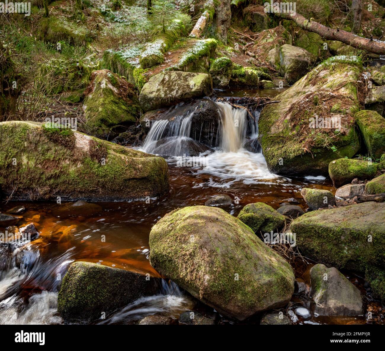 Réserve naturelle de Wyming brook, parc national de Peak District, Sheffield, Yorkshire du Sud, Angleterre, Royaume-Uni Banque D'Images