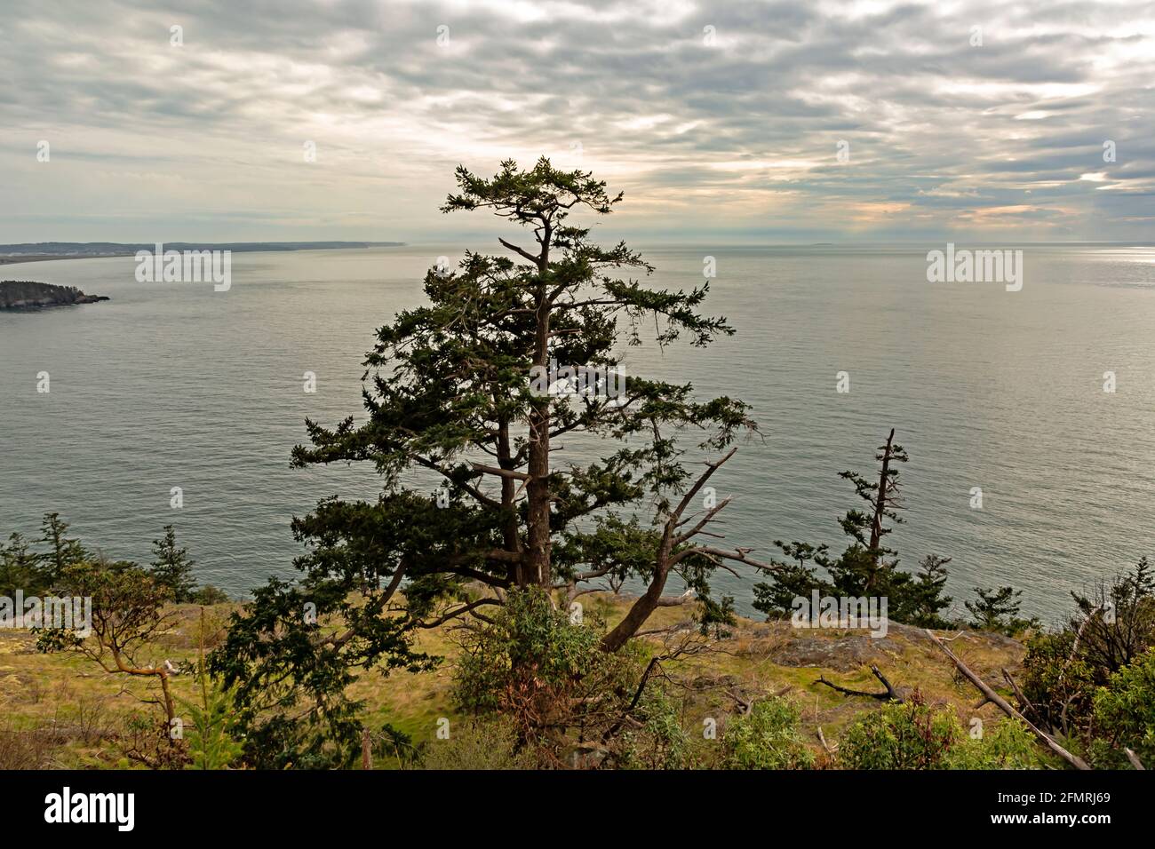 WA19583-00...WASHINGTON - détroit de Rosario et vue sur l'île Whidbey depuis Sharpe Park sur l'île Fidalgo. Banque D'Images