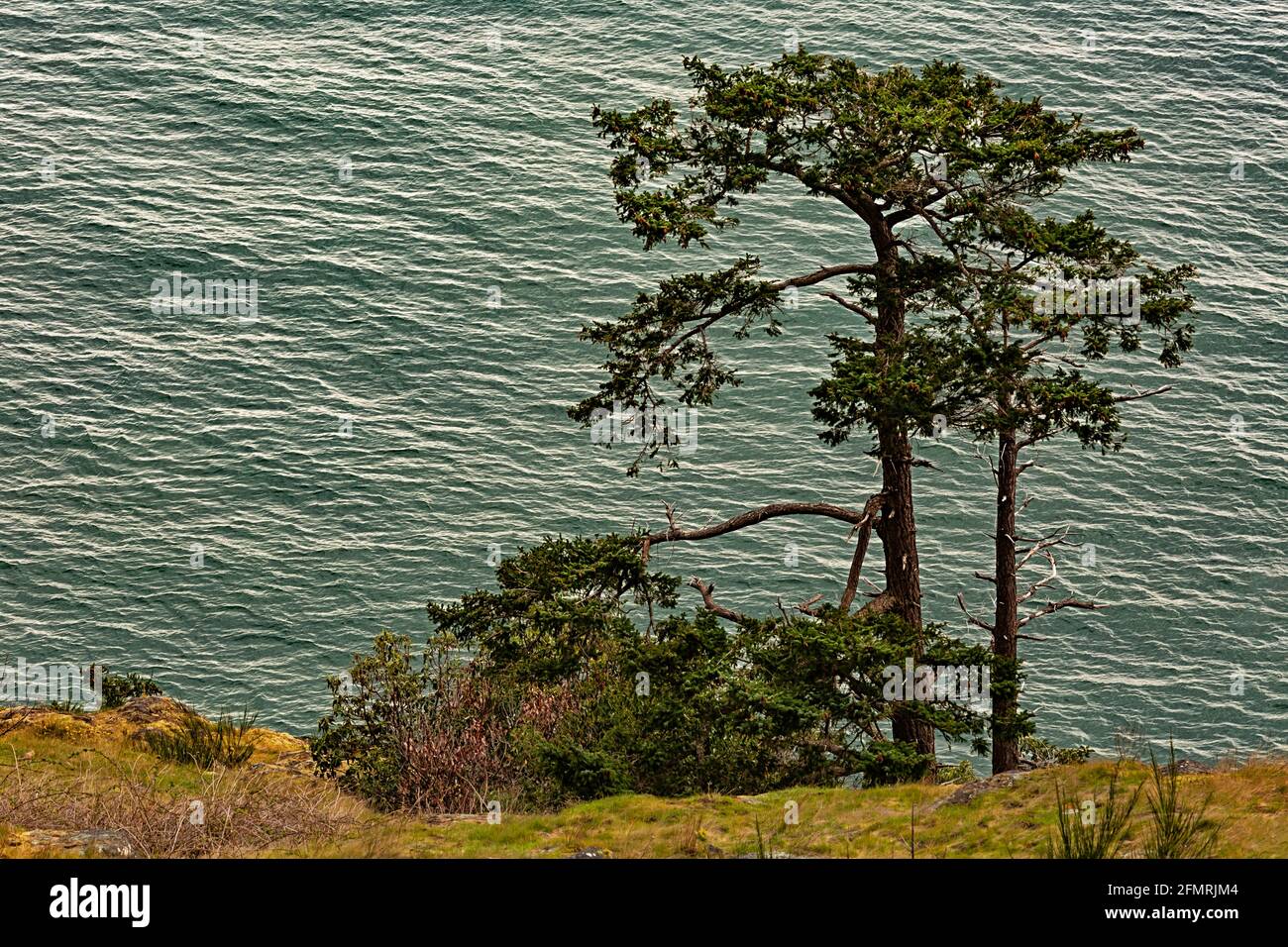 WA19587-00...WASHINGTON - détroit de Rosario vue depuis Sharpe Park en fin d'après-midi sur Fidalgo Island. Banque D'Images