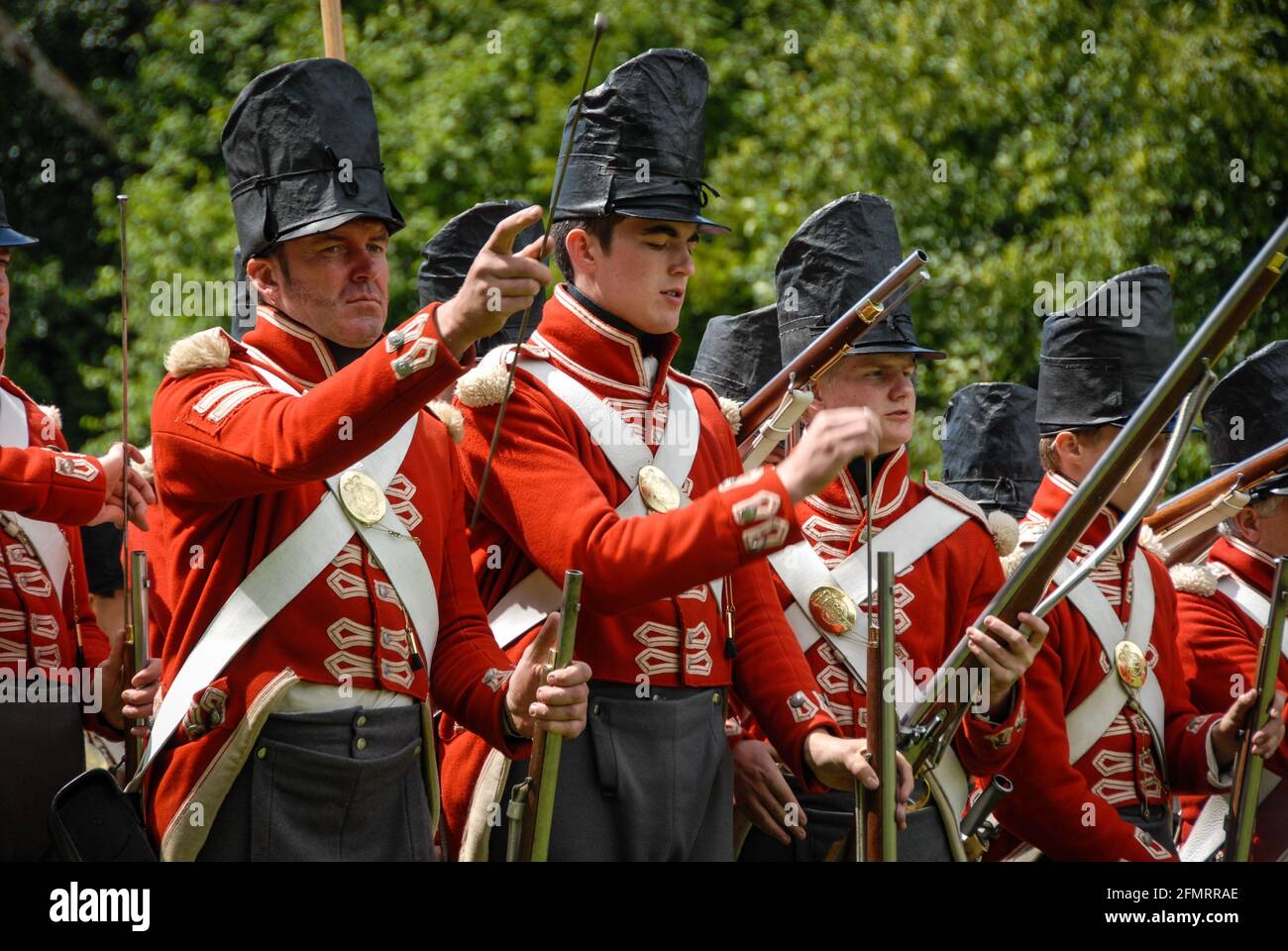 Infanterie britannique dans le camp des alliés exerçant le positionnement en ligne et le tir de volley pour la reconstitution de la bataille de Waterloo. Banque D'Images