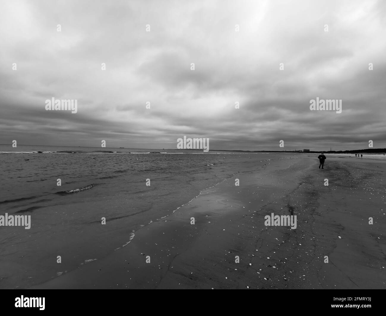 Mer Baltique en hiver, par temps froid, mouettes et cygnes près de l'eau, Swinoujscie, Pologne Banque D'Images