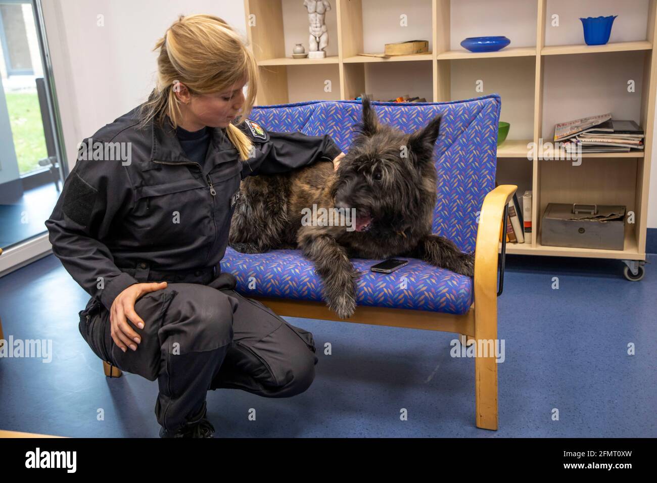 Le chien sniffer de stockage de données de la police NRW, ici dans un appartement d'entraînement, l'institut d'entraînement, les chiens peuvent sniff hors des supports de données tels que les clés USB, la dr dur Banque D'Images
