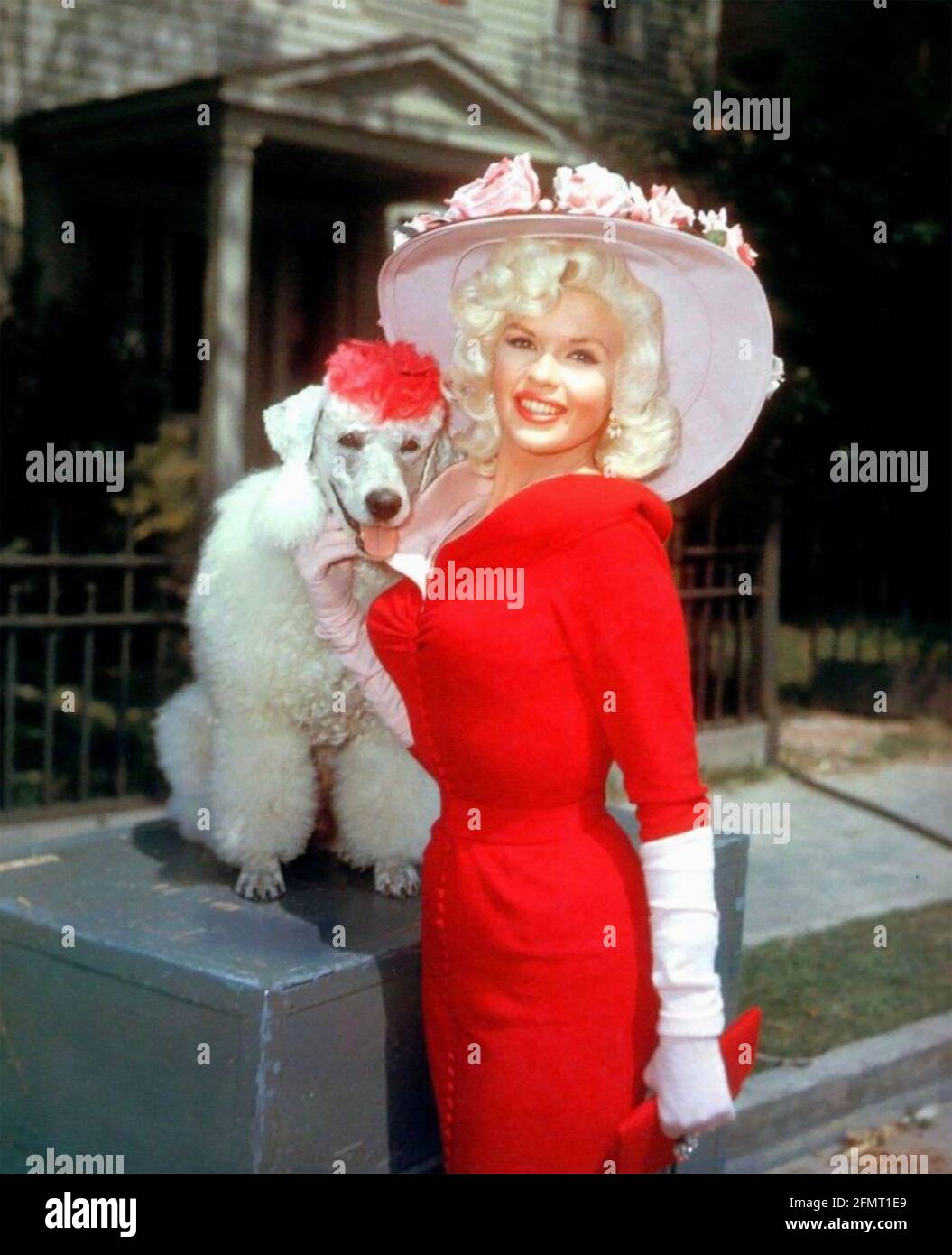 JAYNE MANSFIELD (1933-1967) actrice américaine vers 1957 Banque D'Images