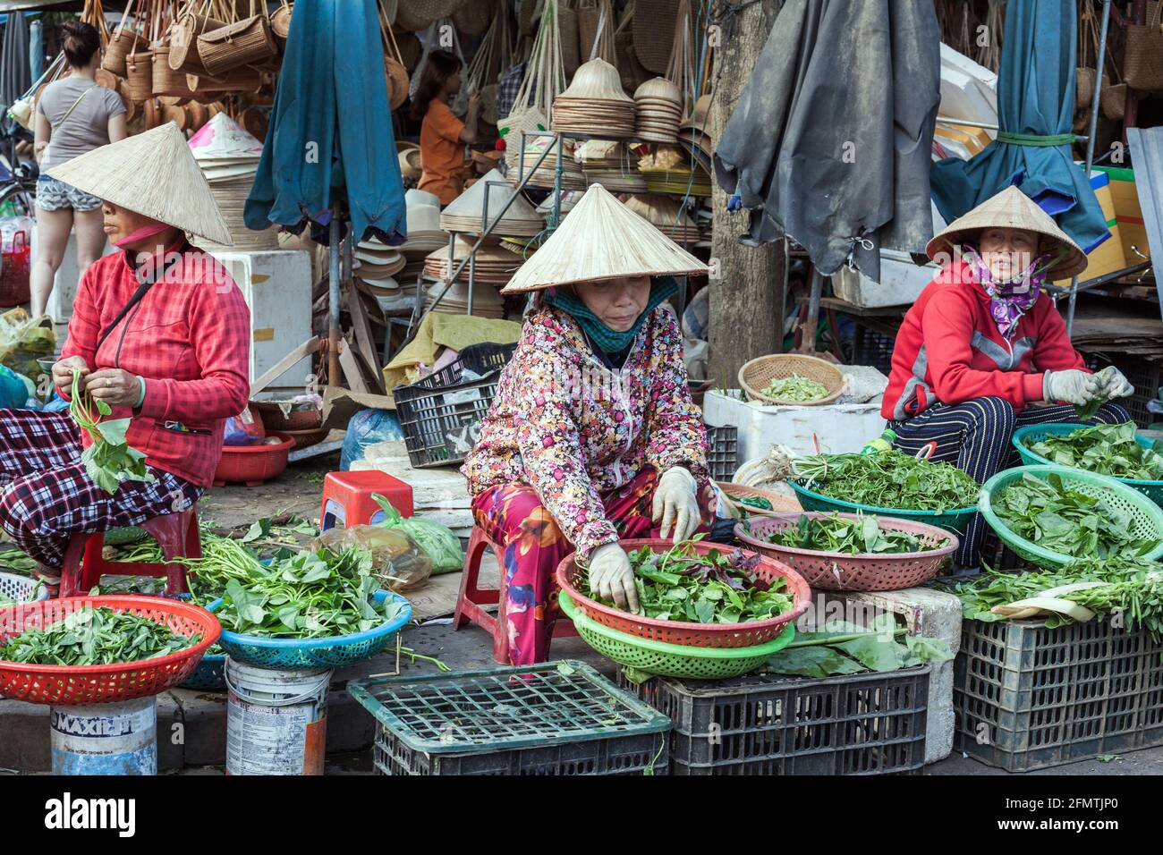 Trois vendeurs vietnamiens de marché vendant des herbes et des légumes portant des chapeaux coniques, Hoi an, Vietnam Banque D'Images