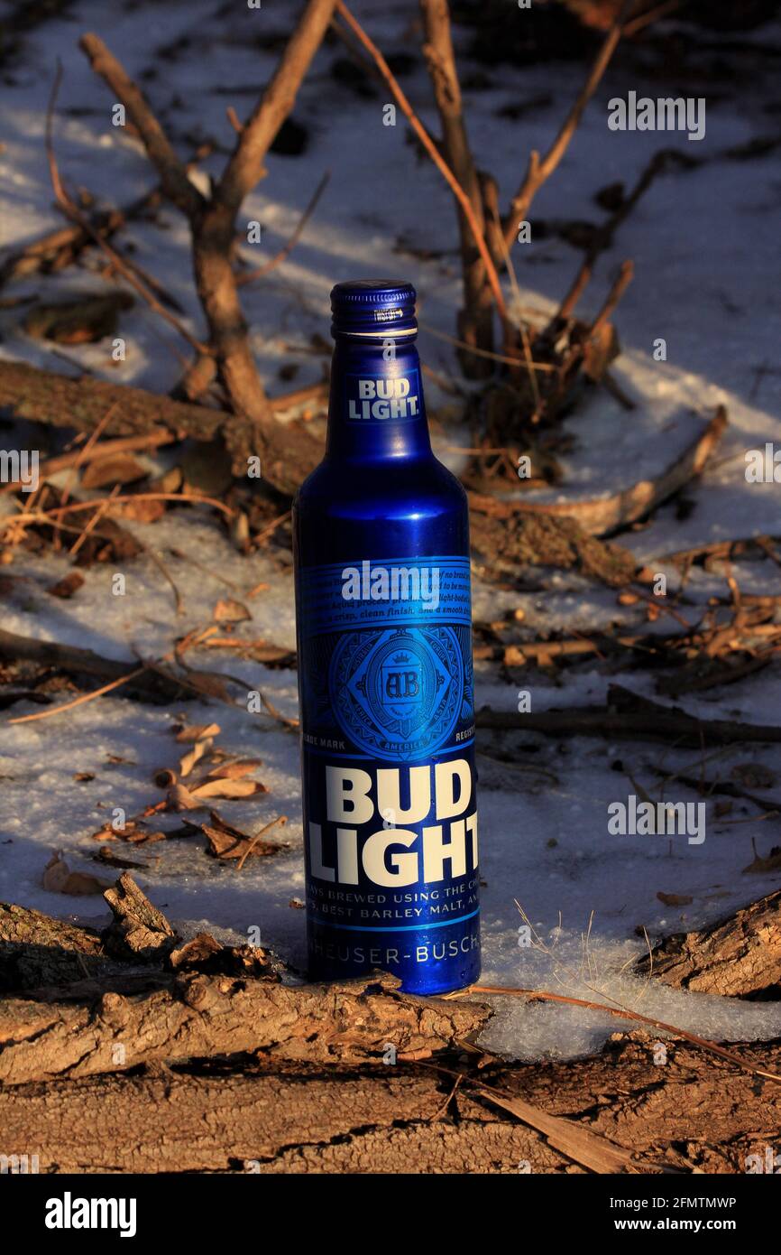 Bud Light en bouteilles d'aluminium bleues en hiver, on a pris un gros plan  avec de la neige et des petits arbres dans le pays du Kansas Photo Stock -  Alamy