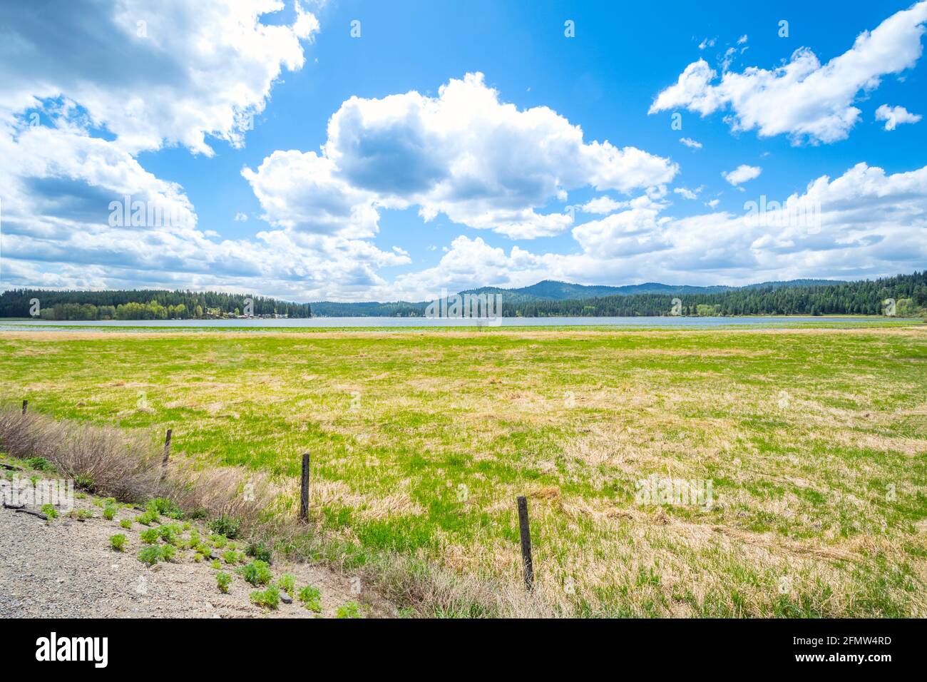 Le grand marais et le lac de la zone de conservation McKenzie à Newman Lake, Washington, États-Unis Banque D'Images