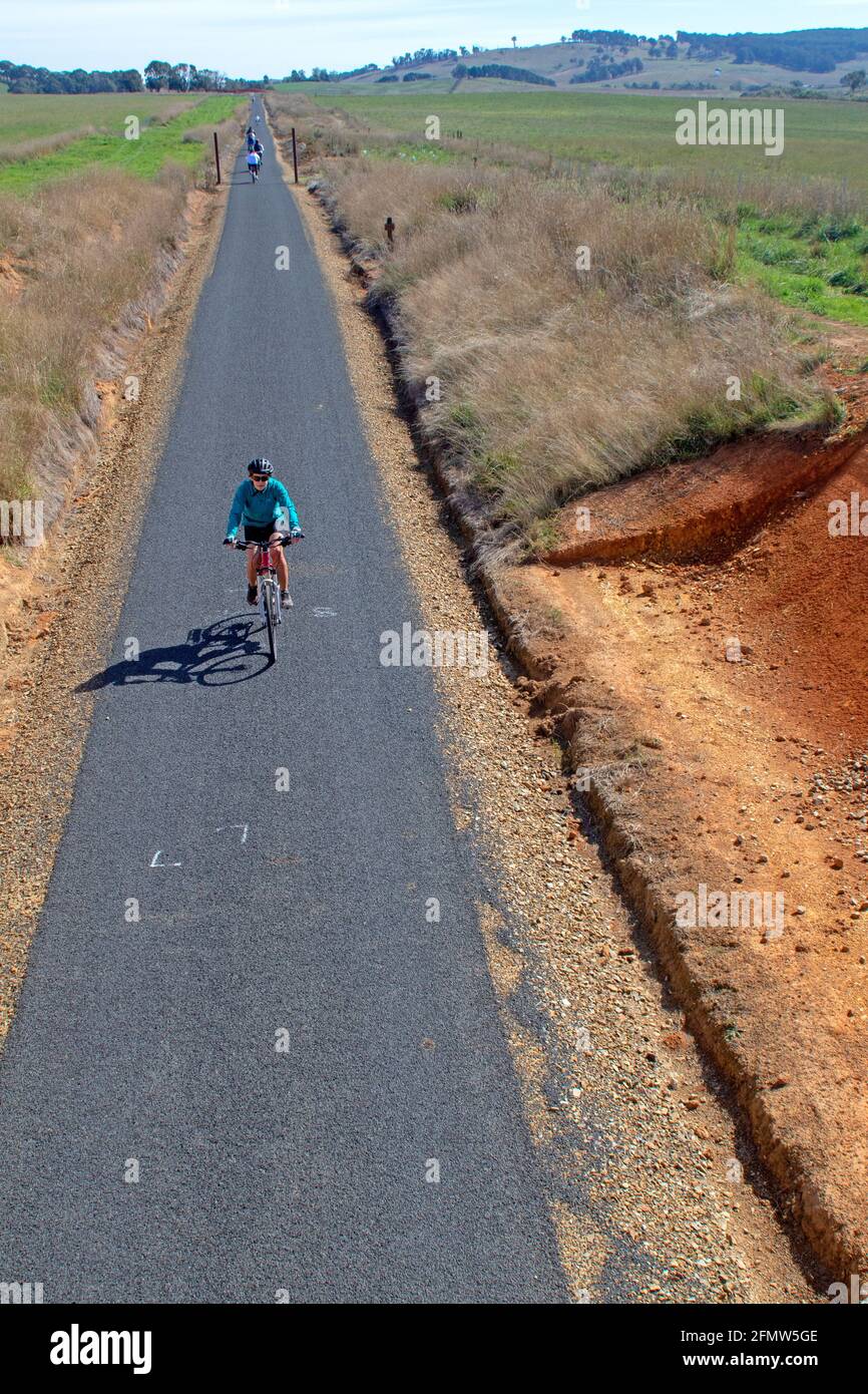 Cycliste sur le Tumbarumba à Rosewood Rail Trail Banque D'Images