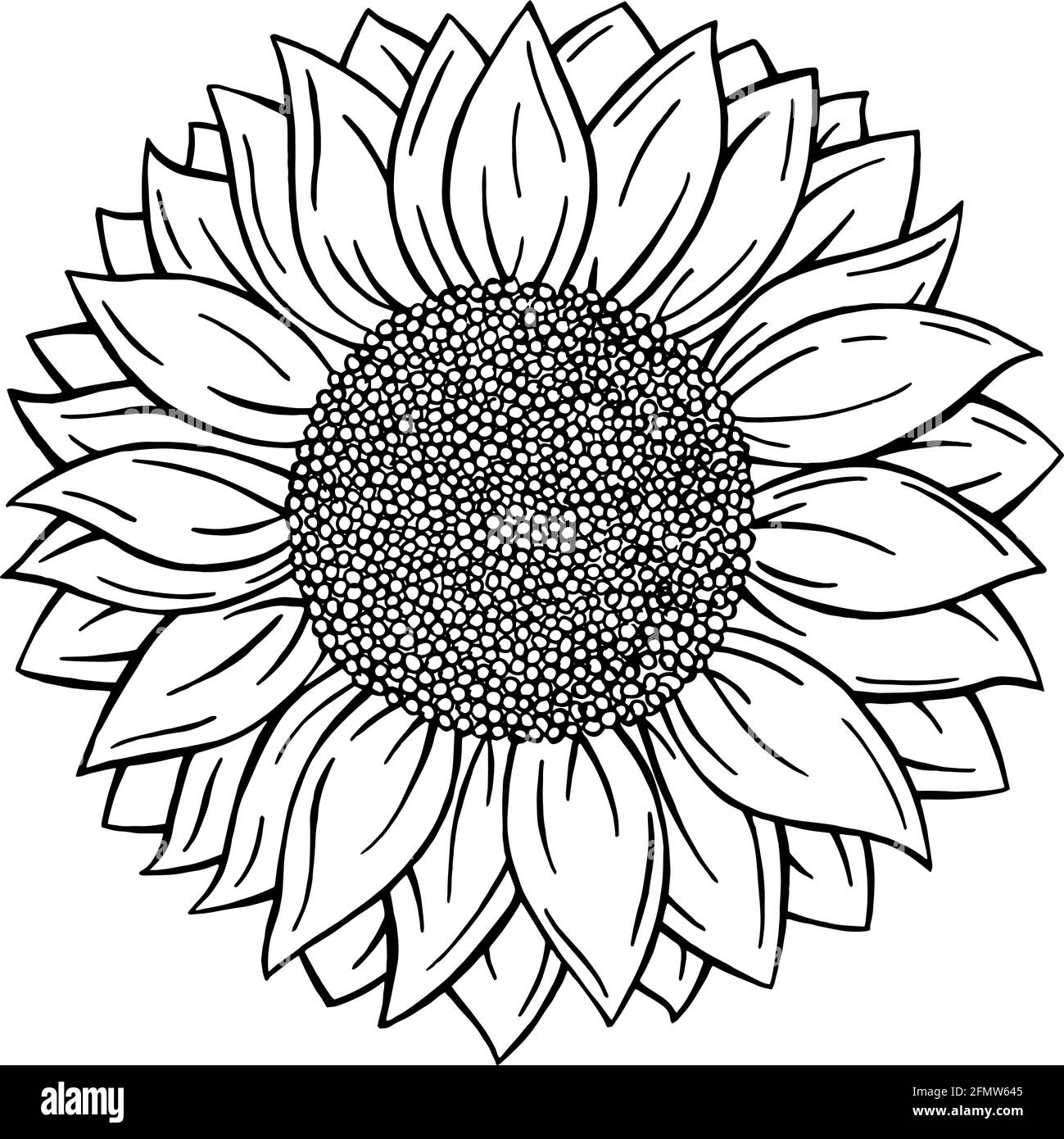 Tournesol monochrome, noir et blanc style Doodle isolé sur fond blanc. Forme vectorielle Fleur dessiné à la main Illustration de Vecteur