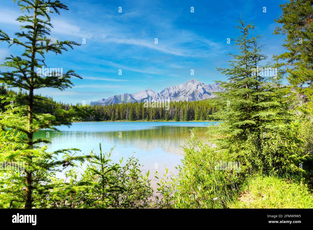 L'été à Two Jack Lake, dans les Rocheuses canadiennes du parc national Banff. Banque D'Images