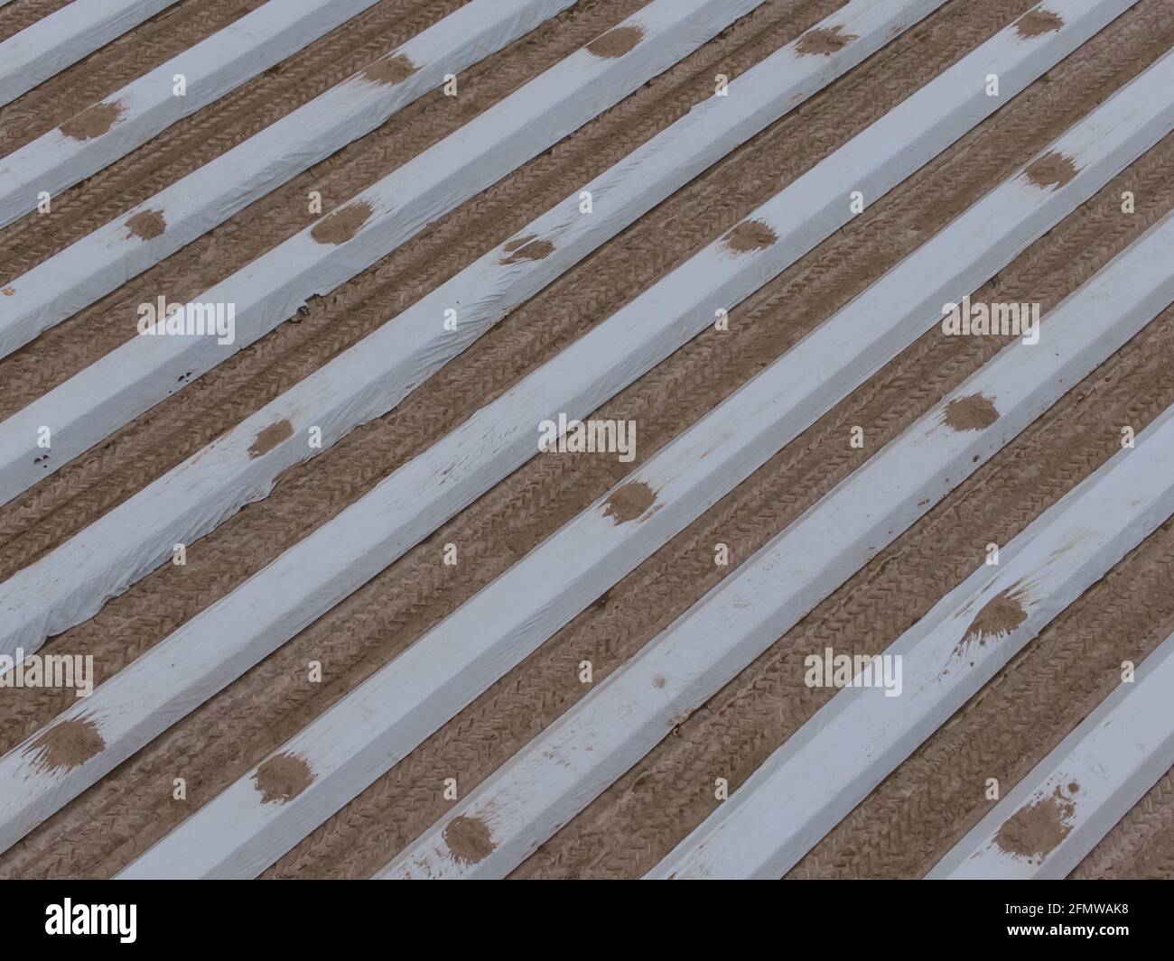 Champ d'asperges photographié avec un drone, vue intéressante des différentes rangées d'asperges formant un modèle, Rhénanie du Nord Westphalie, Allemagne Banque D'Images