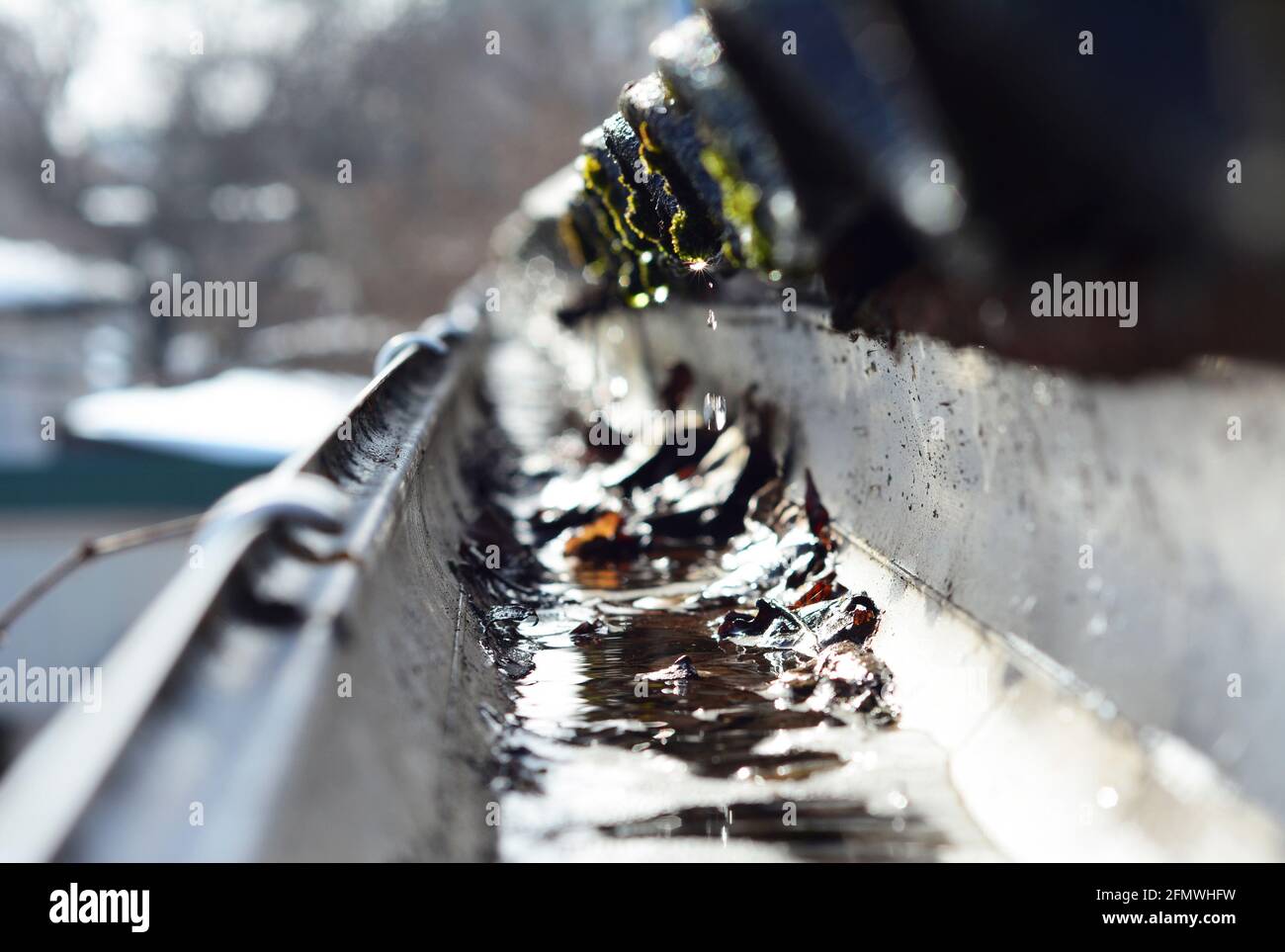 Un foyer doux de neige qui fond avec les gouttes d'eau tombant d'un toit dans un tuyau de gouttière bouché par des feuilles tombées. Banque D'Images