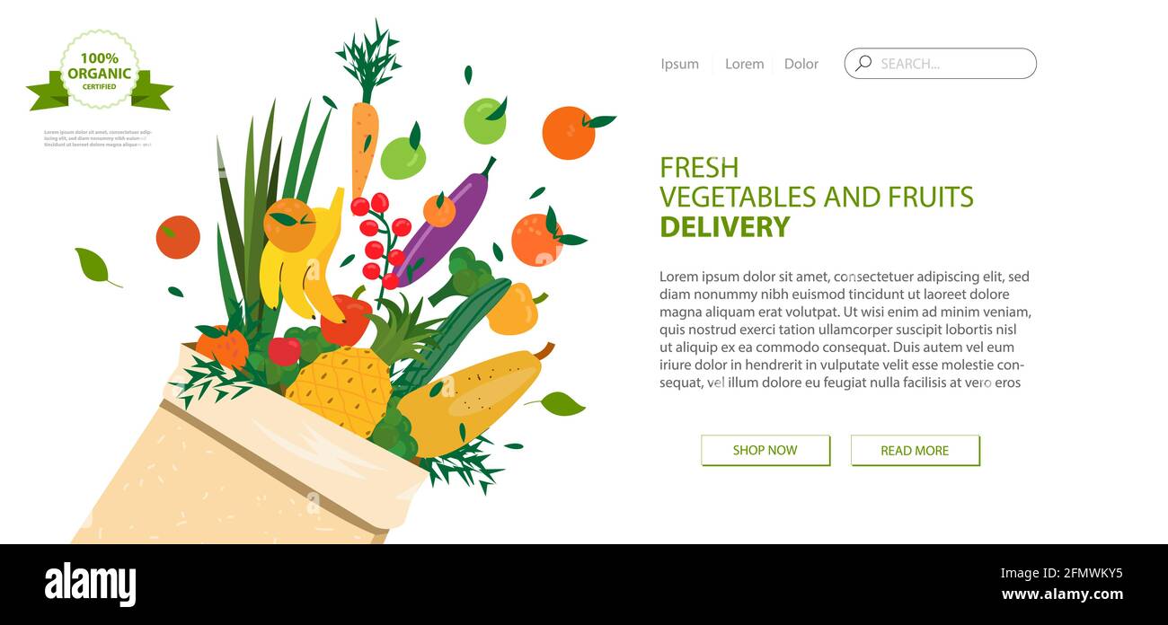 Modèle de conception de page Web pour l'épicerie, le marché en ligne, la ferme, la livraison à domicile légumes frais et fruits. Illustration vectorielle pour les développeurs de site Web Illustration de Vecteur