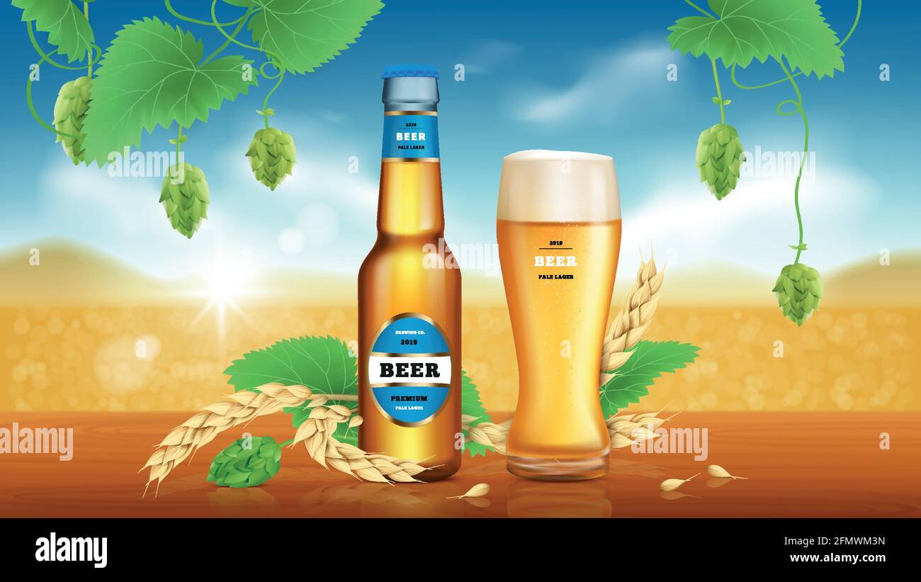 Bière artisanale de blé. Bière dorée, boisson alcoolisée rafraîchissante brassée de blé et de houblon en bouteille de verre et épillets couchés sur fond naturel, bannière promotionnelle de publicité vectorielle. Illustration de Vecteur