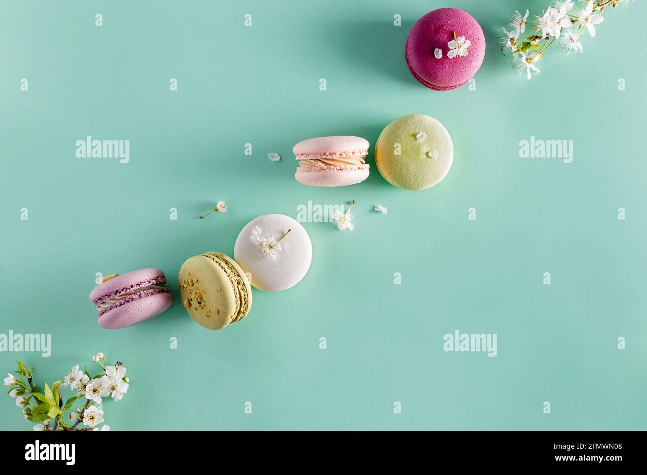 Dessert français macarons et fleur d'arbre de printemps Banque D'Images
