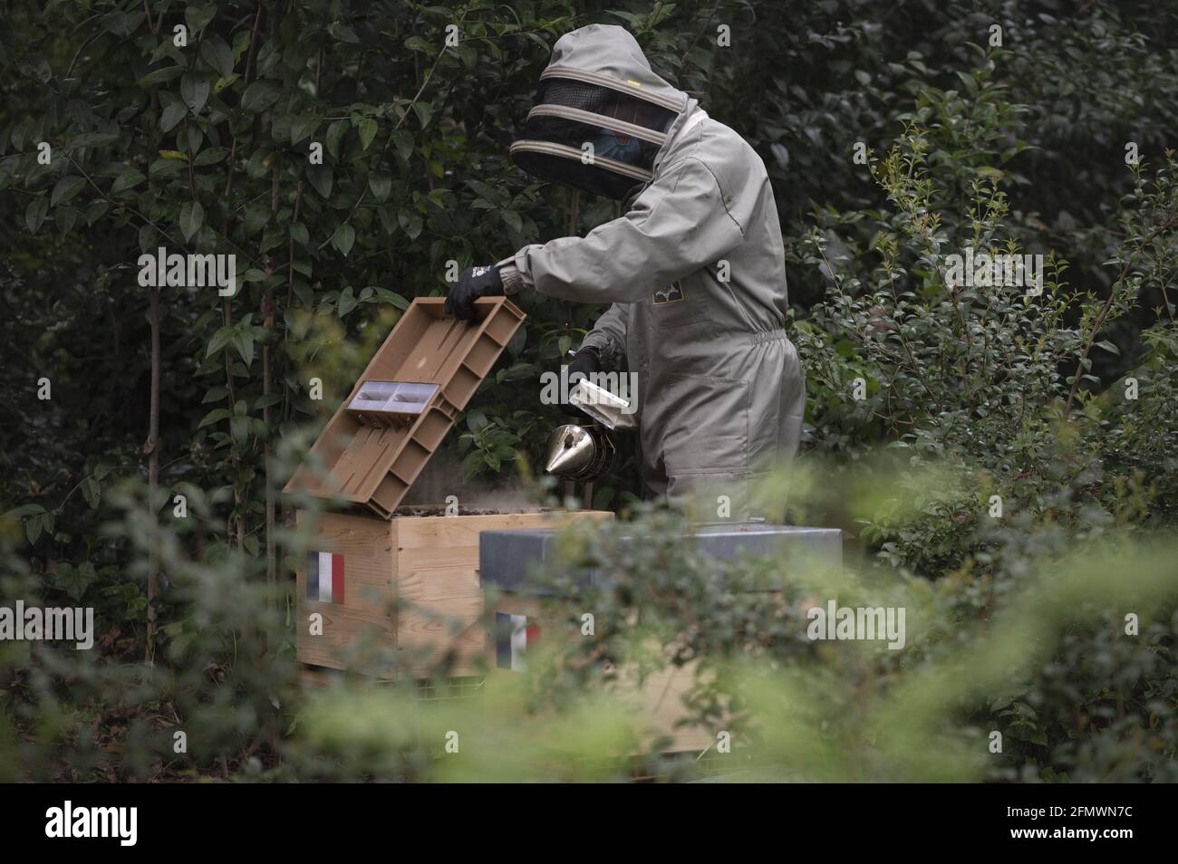 Exclusif - le apiculteur Xavier Firmin installe ses deux premières ruches dans les jardins du Palais présidentiel de l'Elysée à Paris, France, le 11 mai 2021. Photo par Eliot Blondt/ABACAPRESS.COM Banque D'Images