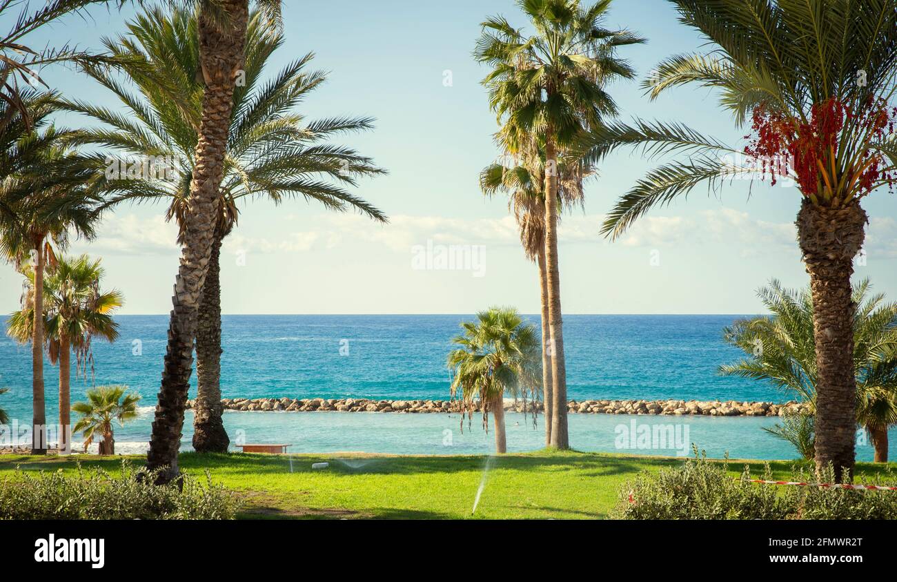 Hôtel jardin et plage à Paphos, Chypre Banque D'Images