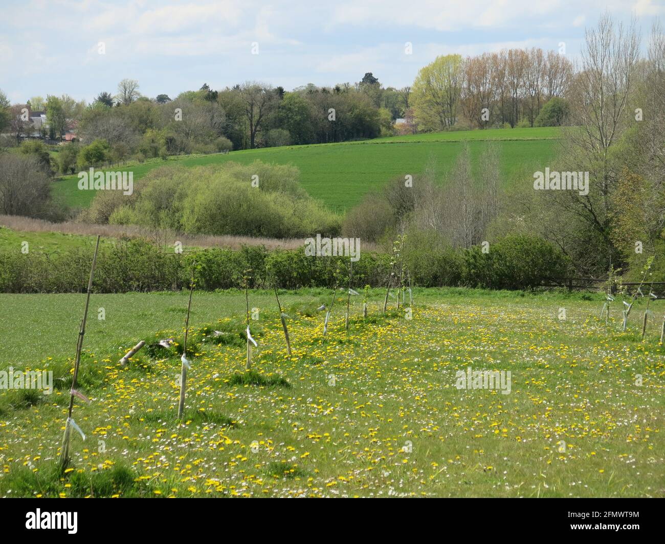 Vue sur le paysage rural du sud du Northamptonshire en regardant les champs et les collines vallonnées vers Evenley près de Brackley. Banque D'Images