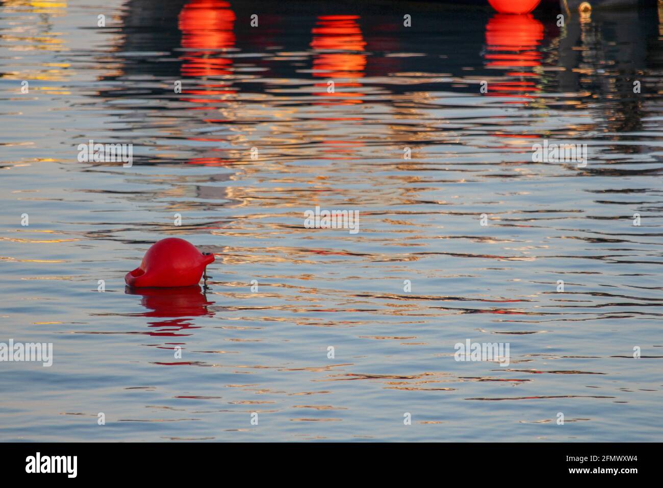 Une bouée flottante dans l'eau au Cobb in Lyme regis Banque D'Images