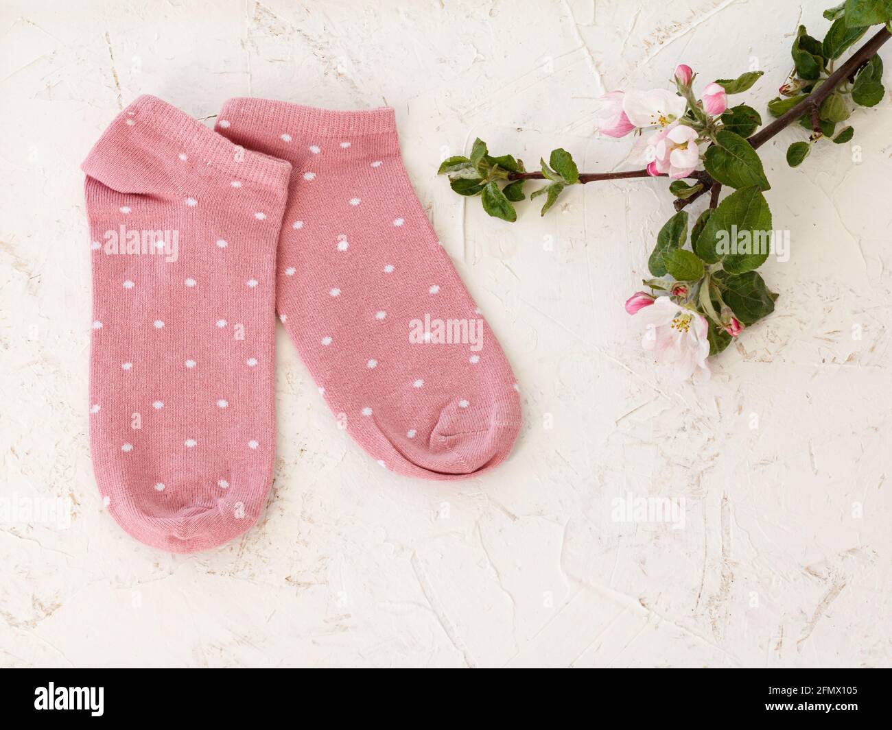 Paire de chaussettes roses pour femmes et fleurs d'un pommier sur fond blanc structuré, vue du dessus. Banque D'Images