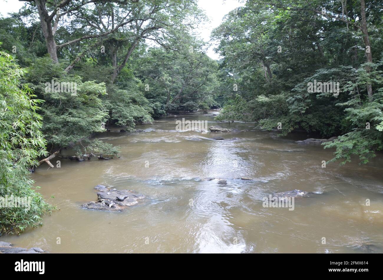 Osun Osogbo, Osun Sacred Grove and River: Rapide, énergique, virile Osun River. Banque D'Images