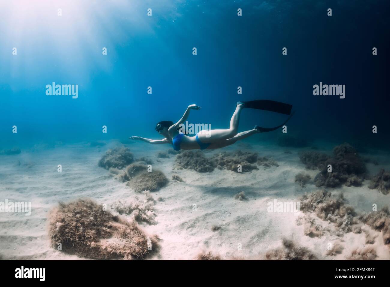 Belle femme de frediver avec nageoires plongée sous l'eau profonde dans la mer. Banque D'Images
