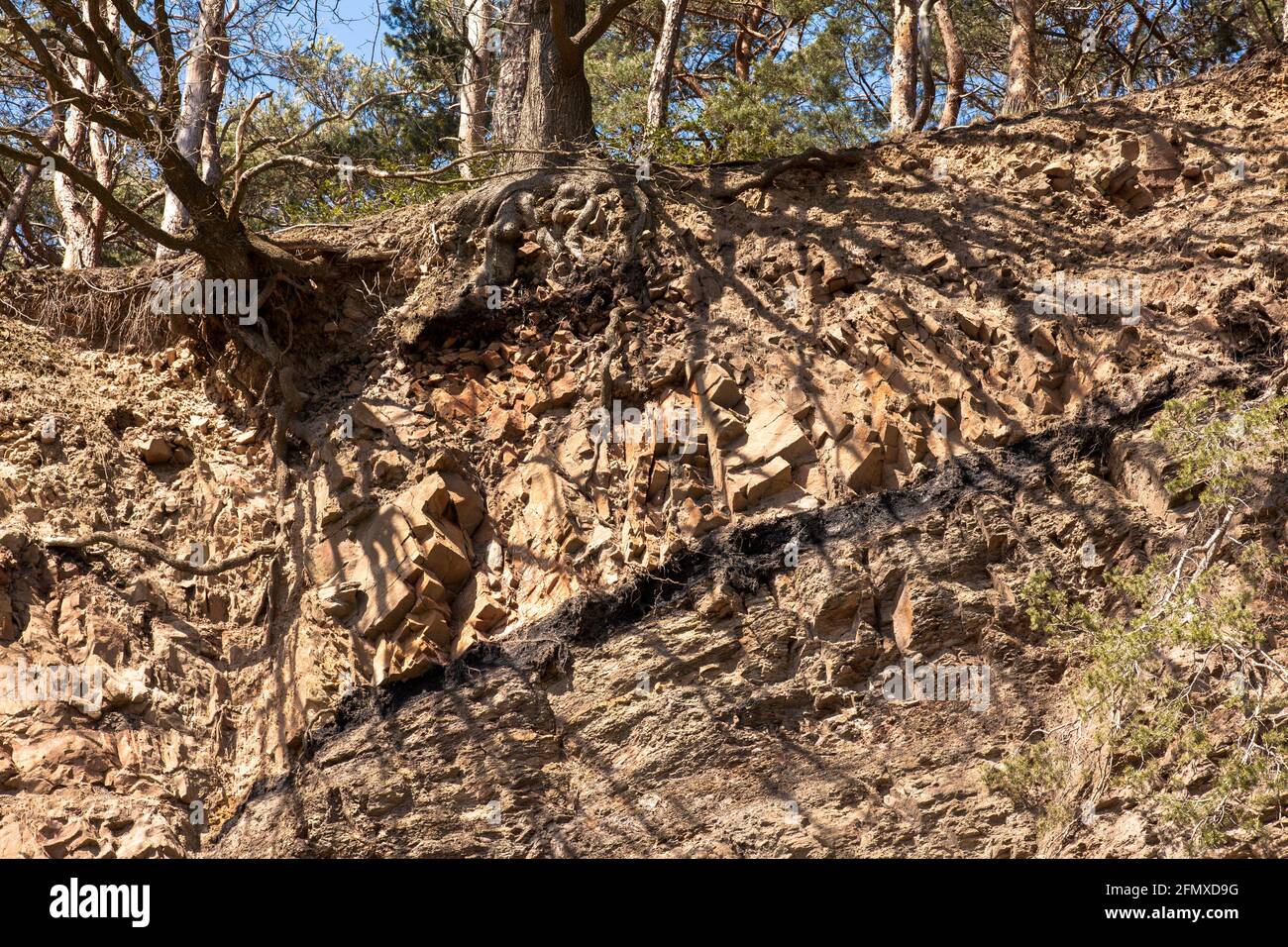 À la carrière de Duenkelberg dans la vallée de Muttental près de Witten-Bommern vous pouvez voir une couche de charbon, le premier charbon dur dans la région de Ruhr est dit avoir b Banque D'Images