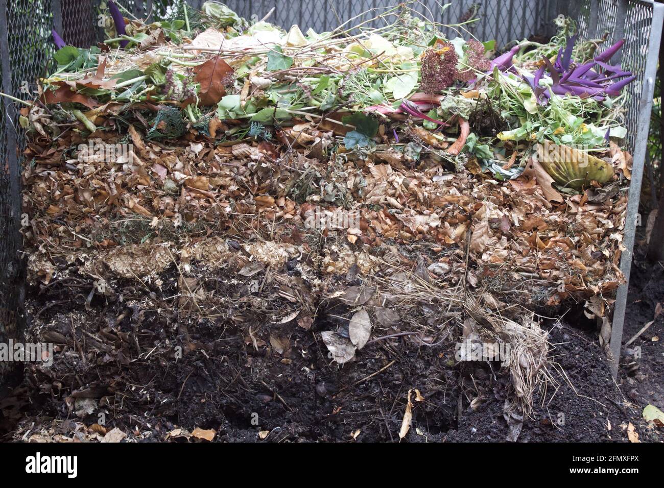 Gros plan du processus de compost dans le jardin à différents stades Banque D'Images