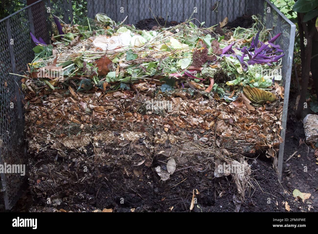 Gros plan du processus de compost dans le jardin à différents stades Banque D'Images