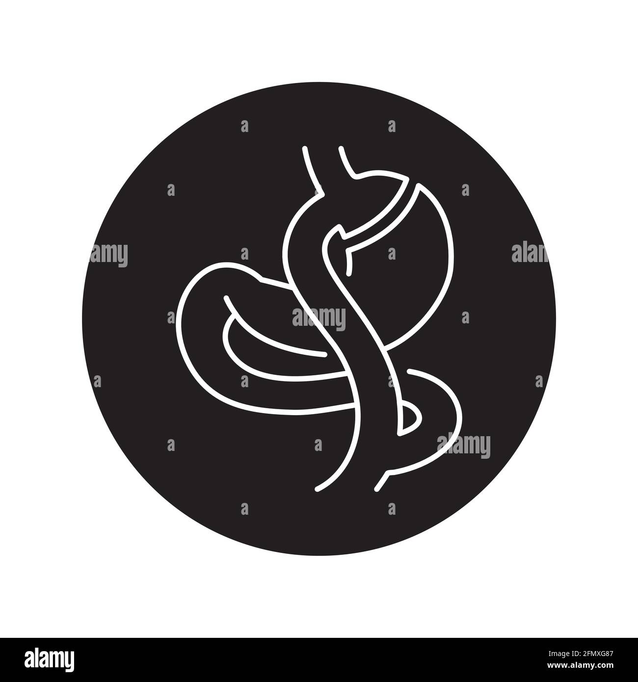 Roux En Y Gastric Bypass Banque d'images vectorielles - Alamy