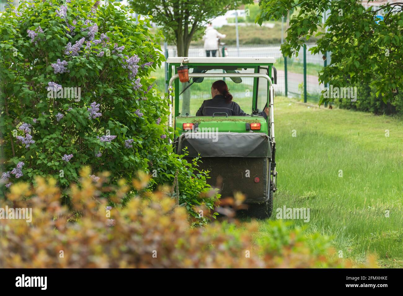 Au printemps encore beaucoup de tonte de pelouse Banque D'Images