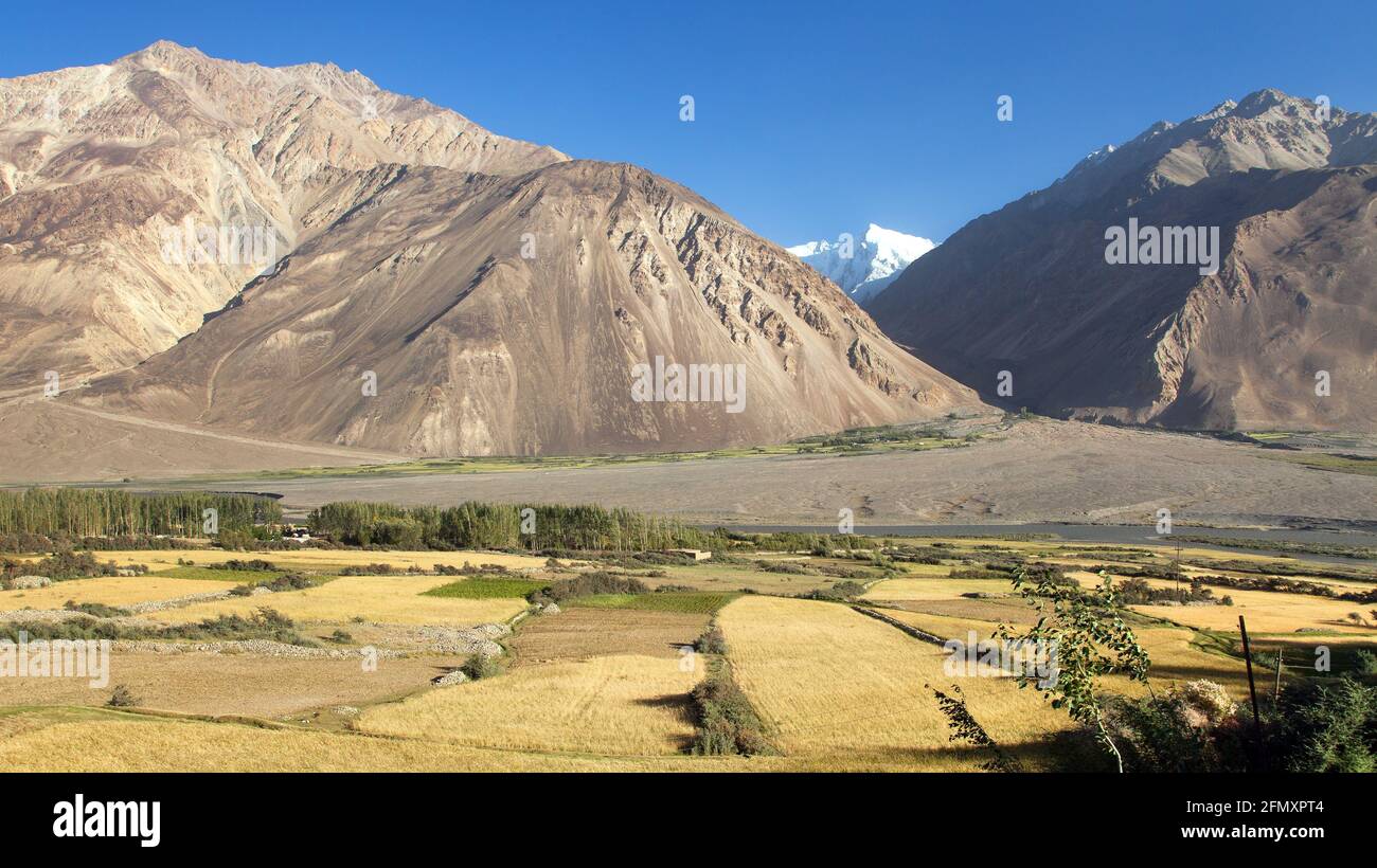 Champs aroun Panj, Gorno-Badakhshan, Tadjikistan et frontière afghane, couloir de Wakhan Banque D'Images