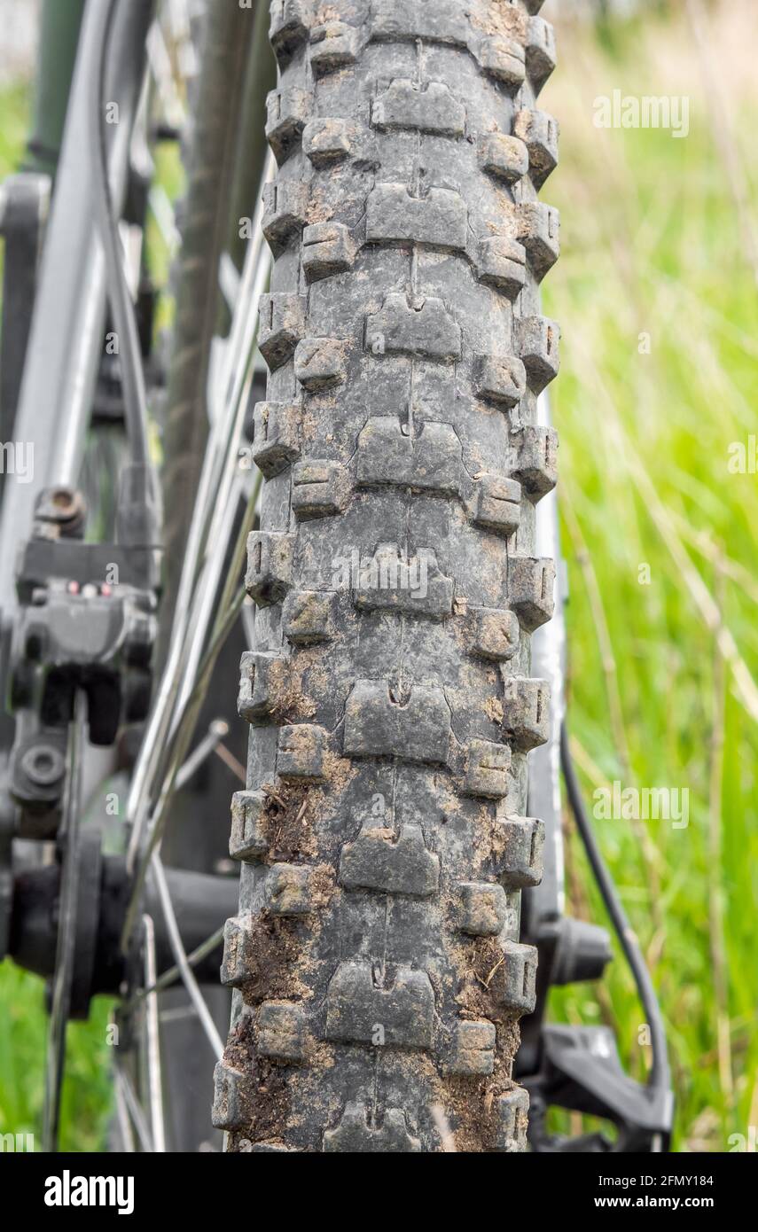 Un pneu de vélo de montagne sale, à pointes et fissuré dans l'herbe verte.  Vue arrière. Mise au point sélective. Orientation verticale Photo Stock -  Alamy