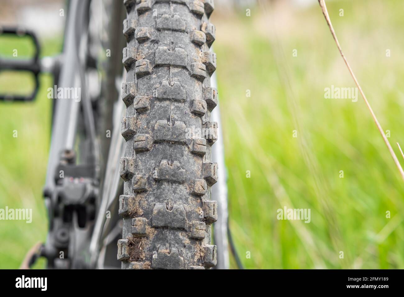 Vue arrière d'une roue de vélo de montagne sale qui se tient contre un fond d'herbe verte. Mise au point sélective. Concept de style de vie sain Banque D'Images