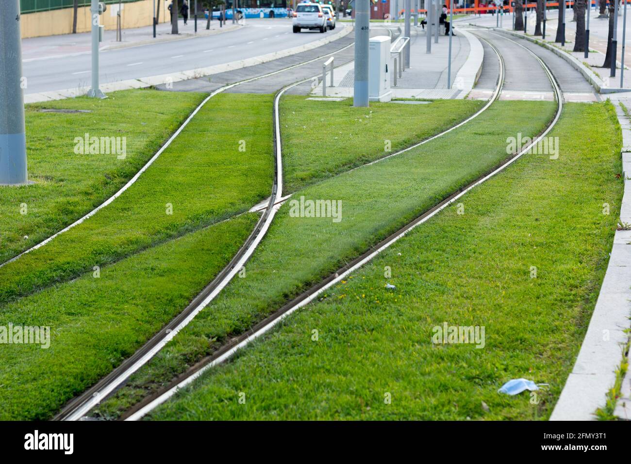 Rails sur l'herbe du tramway urbain ; pistes métalliques sur lesquelles le tramway électrique circule. Train où passe le tramway public. Banque D'Images
