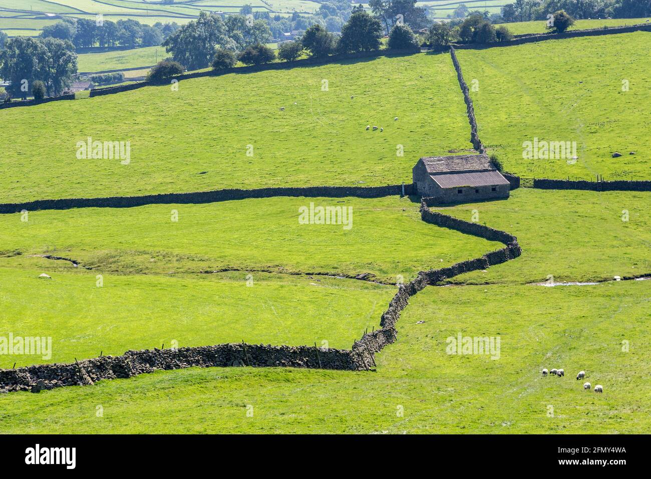 Grange et murs de campagne près d'Austwick, Yorkshire Dales, Royaume-Uni Banque D'Images