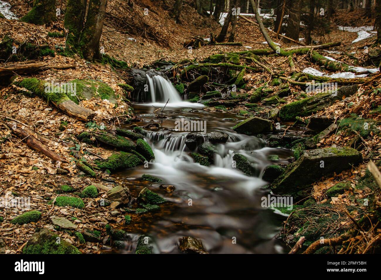 Cascades de petits cours d'eau dans les montagnes Orlicke, république tchèque. L'eau est longue exposition.paysages de montagne de source fraîche.nature tchèque intacte.Motion Banque D'Images