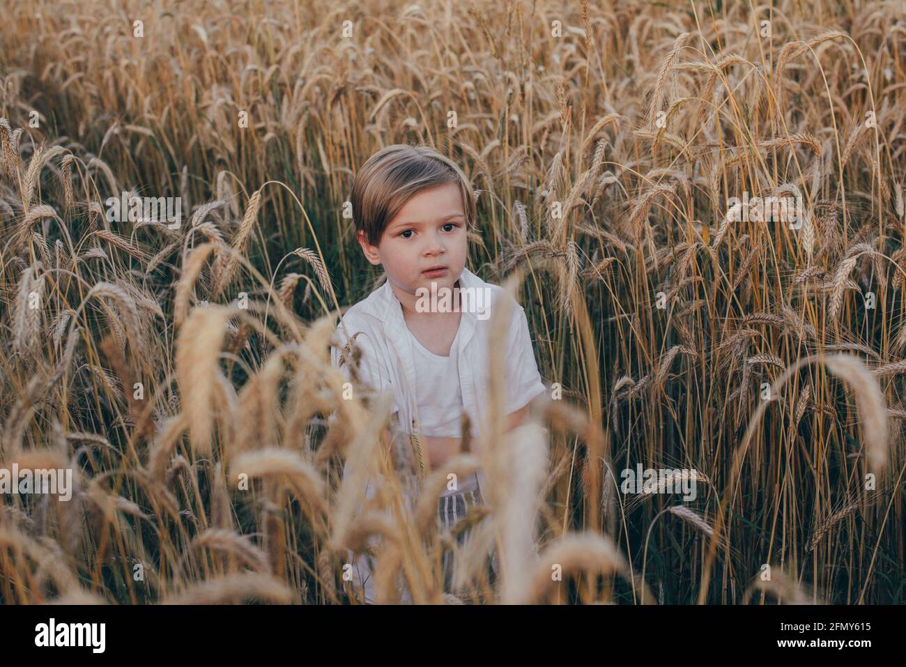 Portrait d'un heureux 5 ans petit mignon garçon, portant une chemise blanche debout dans le champ de blé Banque D'Images