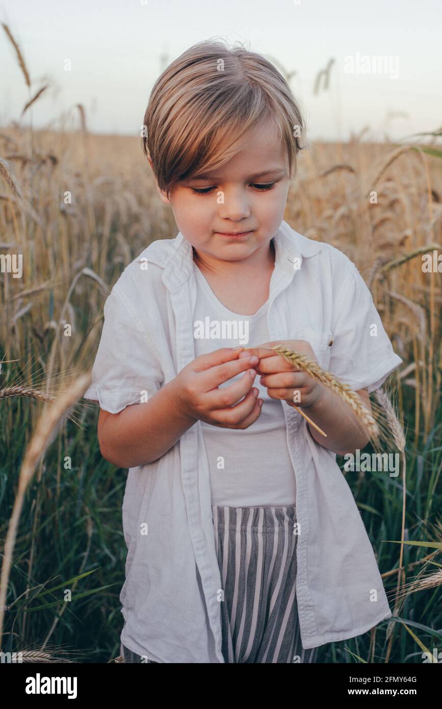 Portrait d'un heureux 5 ans petit mignon garçon, portant une chemise blanche debout dans le champ de blé Banque D'Images