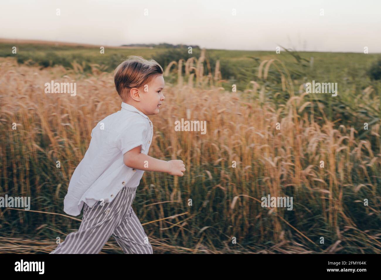 Portrait d'un heureux 5 ans petit mignon garçon, portant une chemise blanche courant dans le champ de blé Banque D'Images