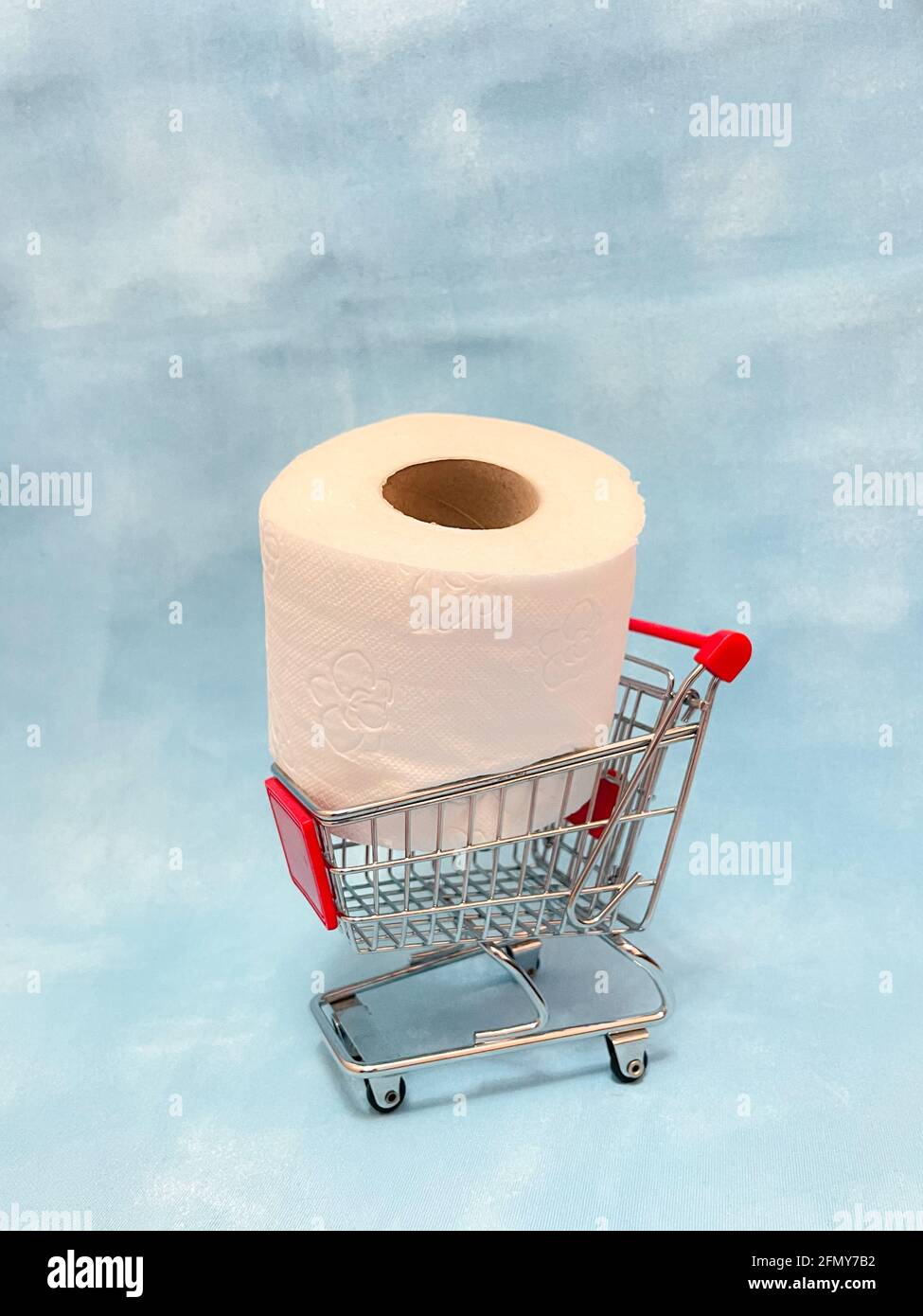 Grand rouleau de papier toilette dans petit chariot, mini chariot Photo  Stock - Alamy