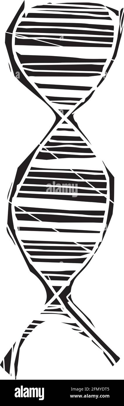 Image de style expressionniste de coupe de bois d'une hélice d'ADN Illustration de Vecteur