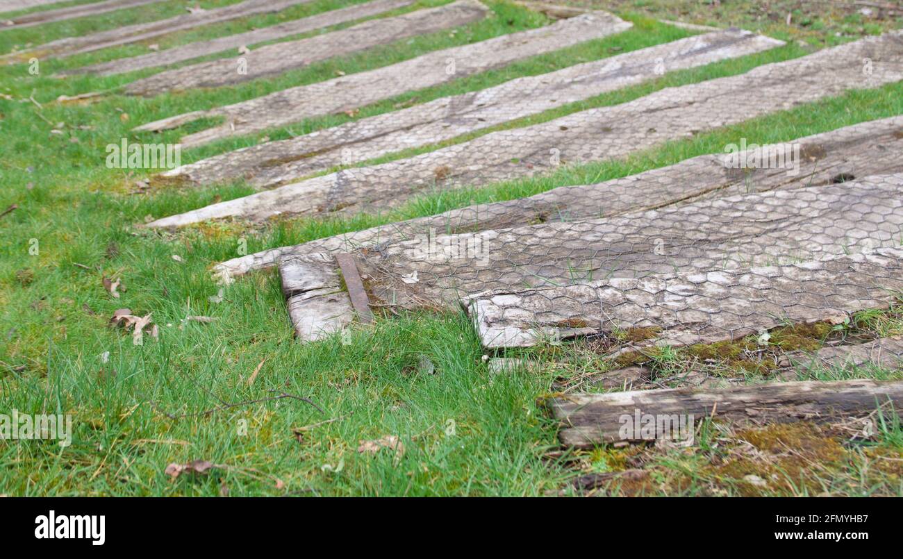 Ancienne passerelle en bois sur l'herbe recouverte de fil de poulet avec copyspace Banque D'Images