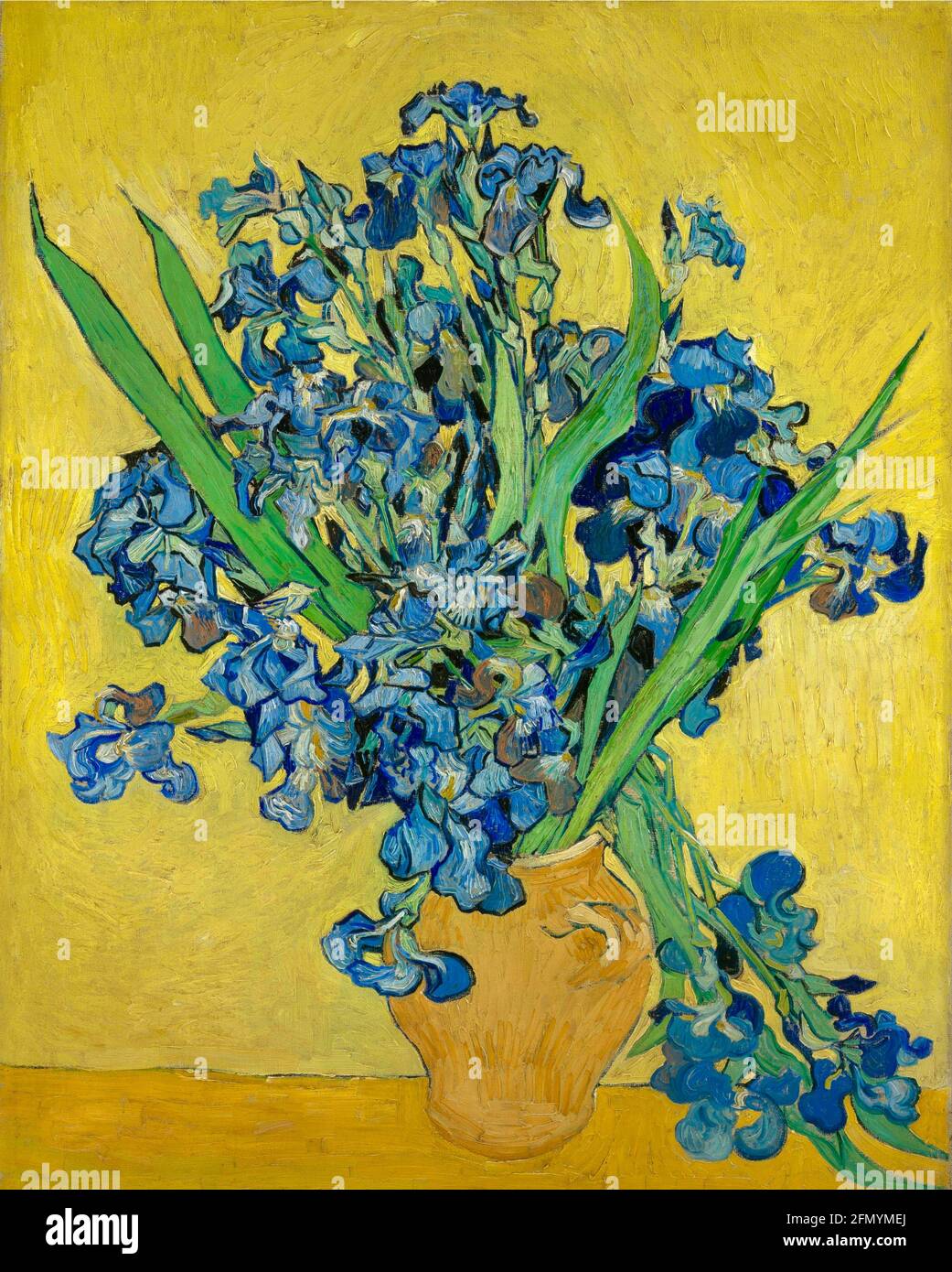 Œuvre d'art Vincent van Gogh intitulée Irises. Banque D'Images