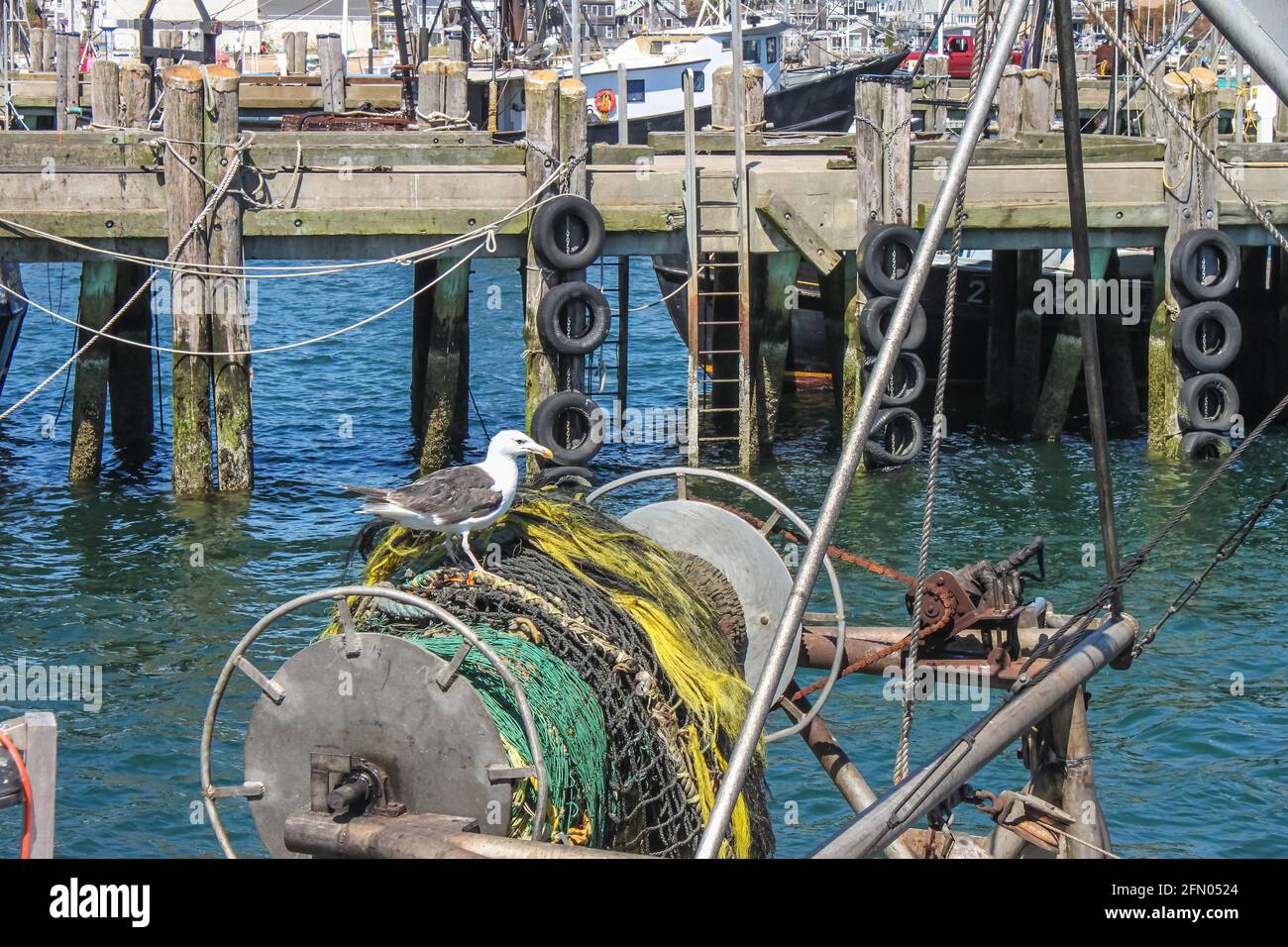 Gros plan de goéland assis sur un rouleau de filets de pêche avec un morceau de poisson de récupération dans sa bouche avec occupé quai commercial avec bateaux en arrière-plan Banque D'Images