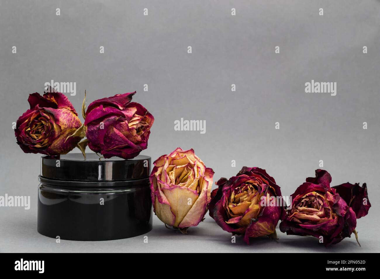 Roses séchées sur un pot noir sur fond gris. Cosmétiques avec une rose Banque D'Images