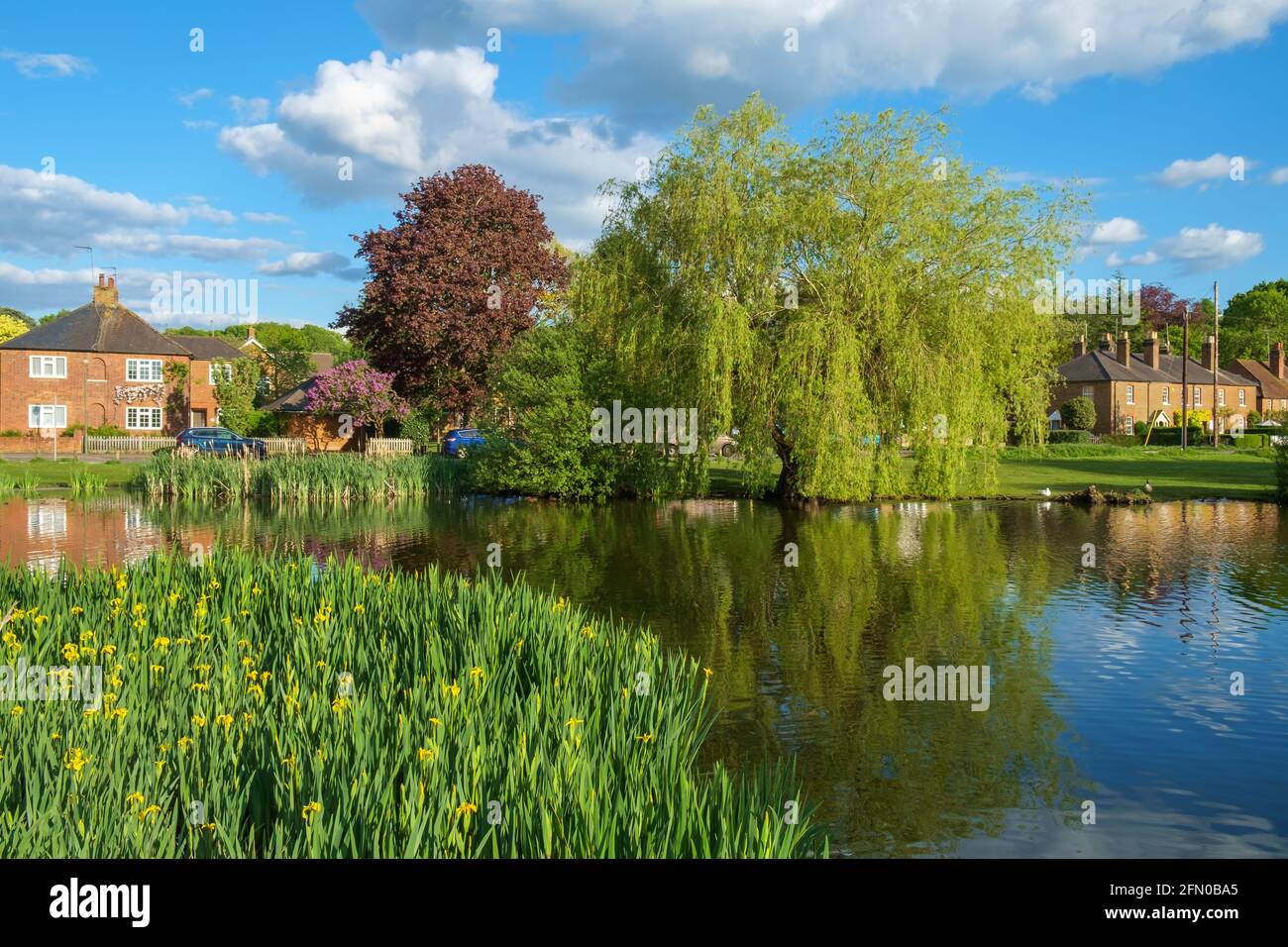 West End Village, Esher, Surrey, Angleterre, Royaume-Uni. Village anglais typique construit autour d'un étang de canard. Banque D'Images