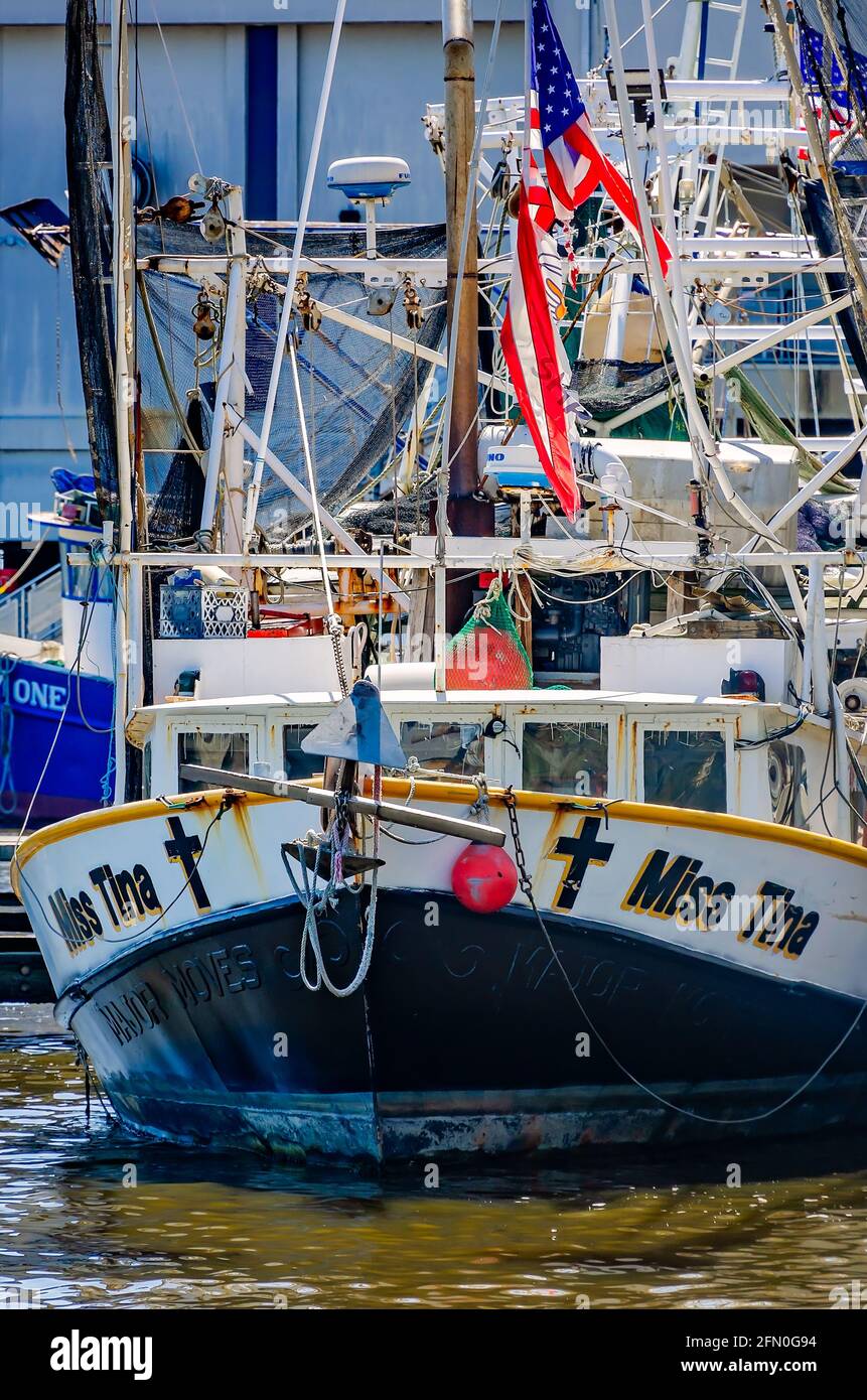 Des bateaux à crevettes sont amarrés au port pour petits bateaux de Biloxi, le 8 mai 2021, à Biloxi, Mississippi. Banque D'Images