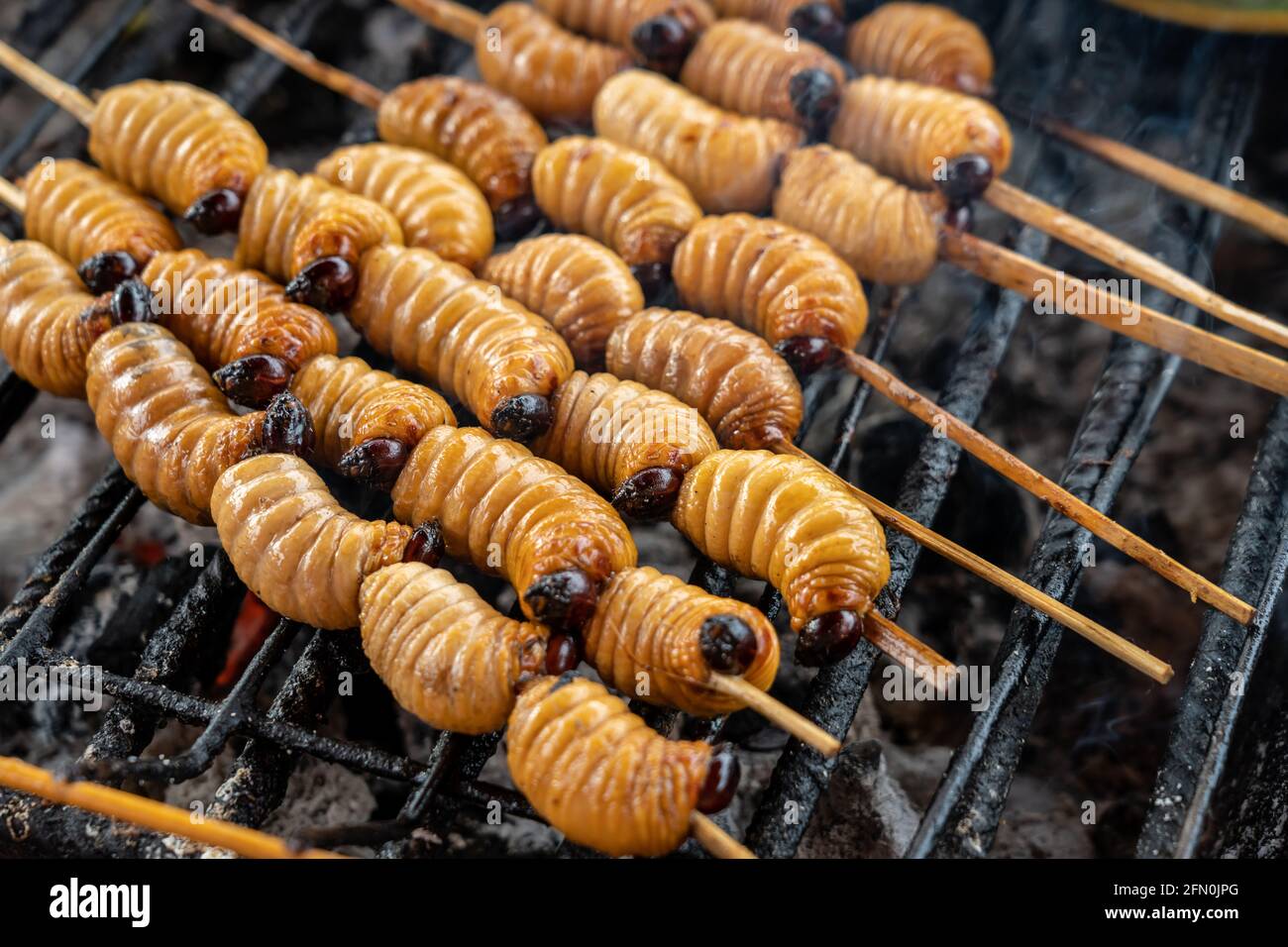 Délicatesse amazonienne de grubes grillés (Cocotero) sur une brochette à Iquitos, Pérou Banque D'Images